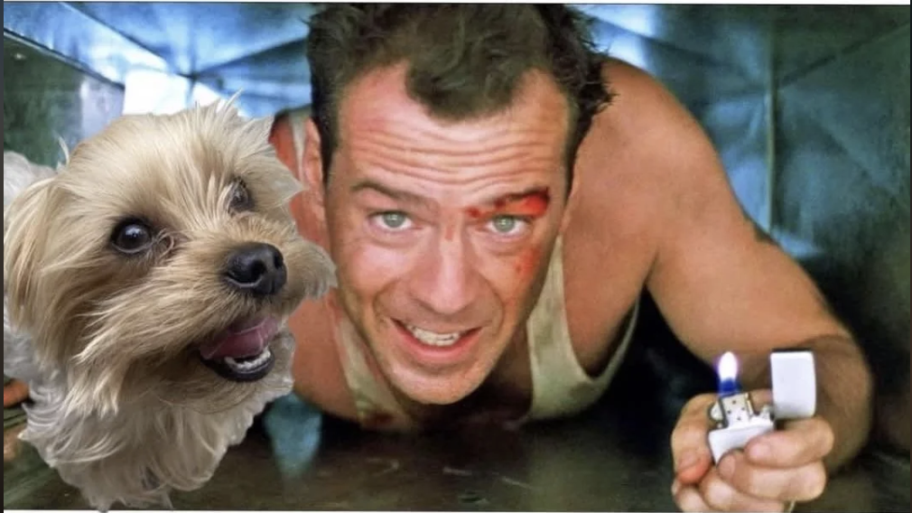 Источник: https://share.google/rExxjbcJSW3FVms8p