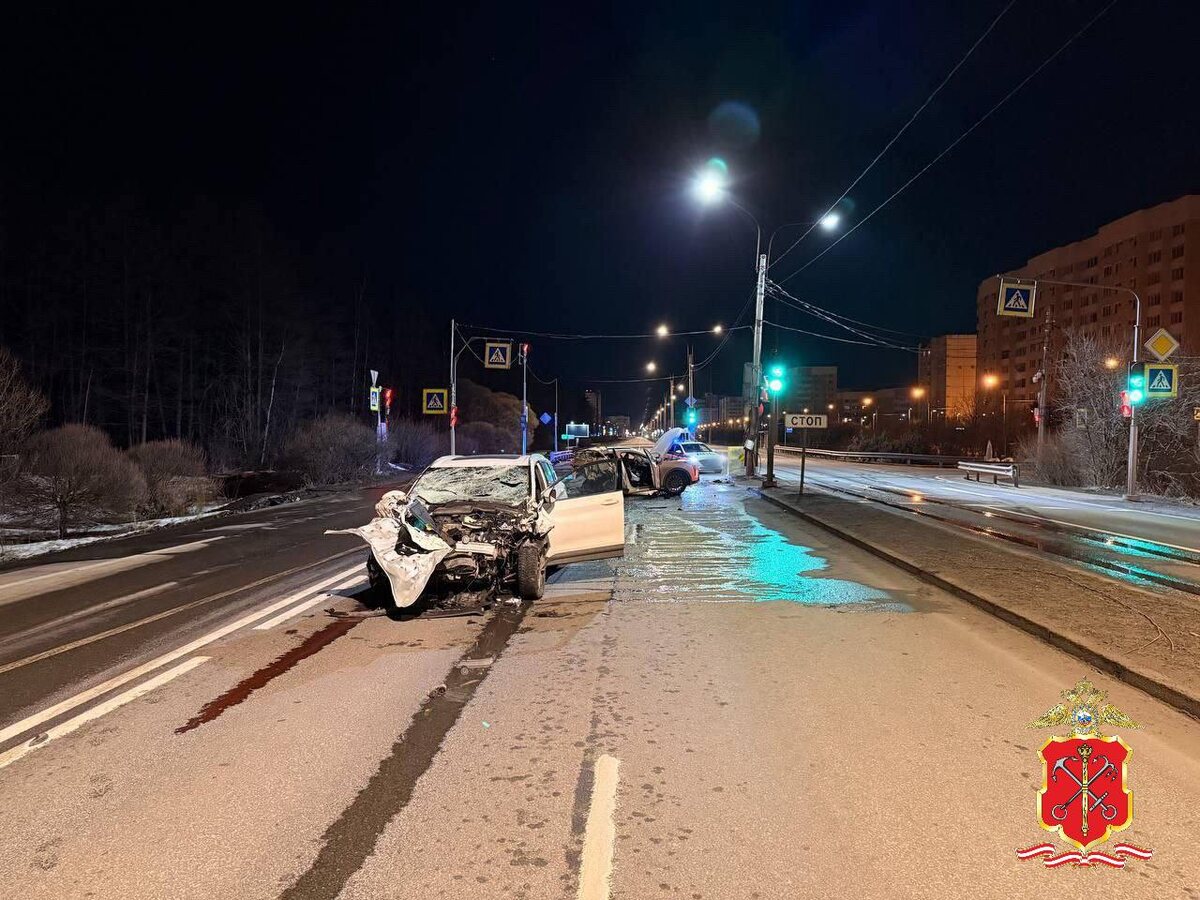    Ленинградская область ДТП