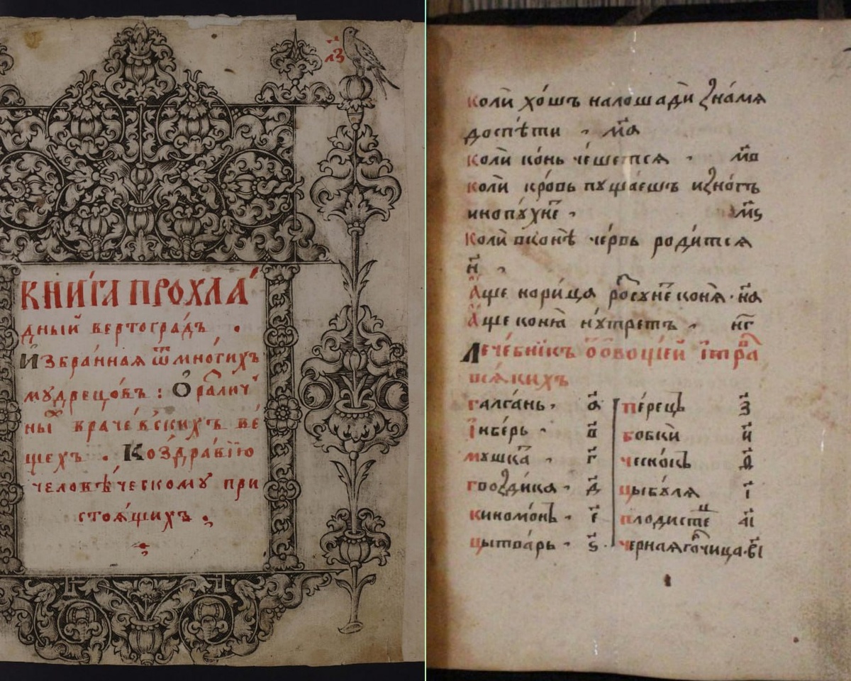 Древние рецепты трав 