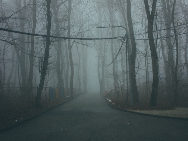     Одна из задач проверки — выяснить, как предприятия исполнили государственные контракты за 2025 год. Фото: архив МК в Питере