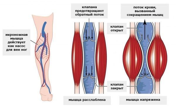 фото из открытого источника