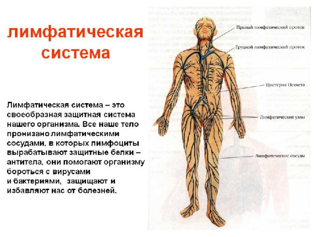 фото из открытого источника
