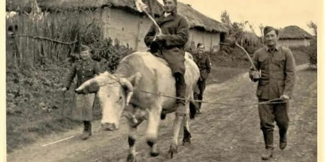 ЕСЛИ ИЗЫМАЮТ СКОТ!!! ПАМЯТКА