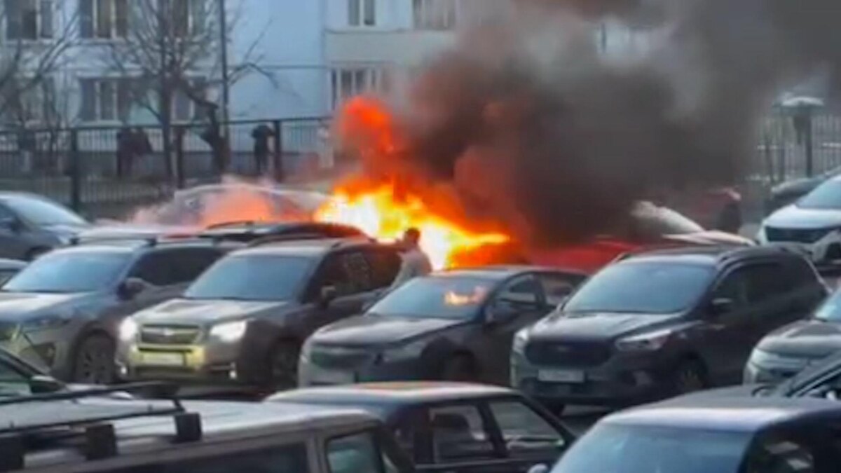    Фото: t.me/Megapolisonline