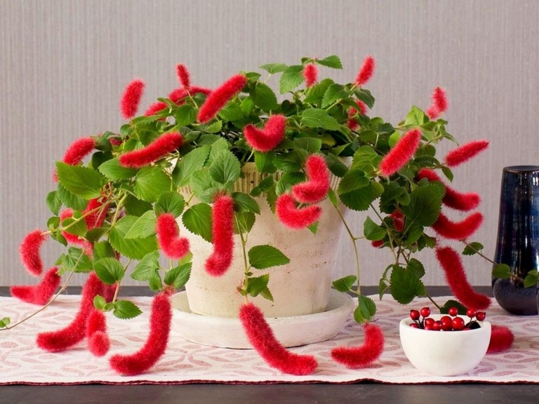 Фотография из интернета