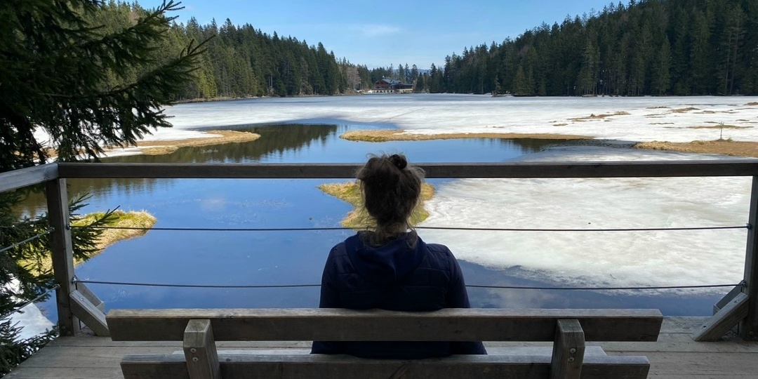 Как спорить и не портить отношения?