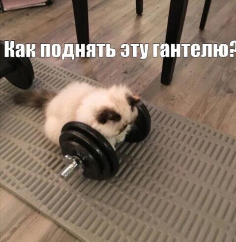 Источник: https://share.google/pEQ7oQm42mDSeRFre