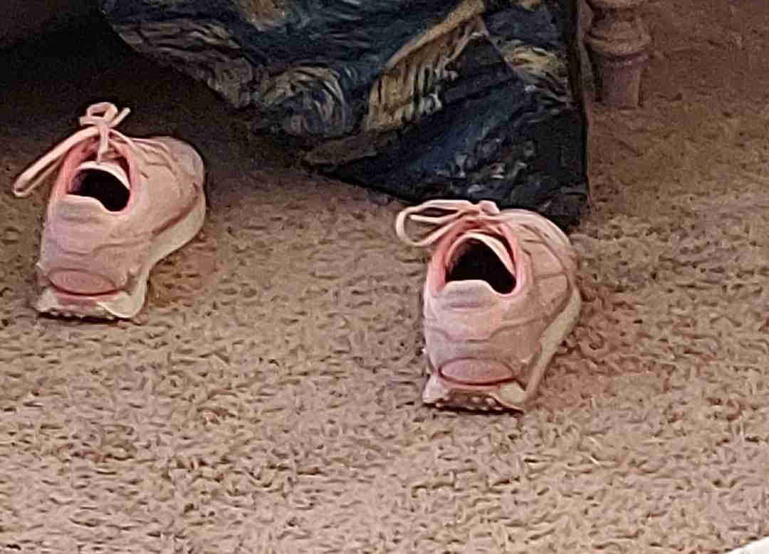 Источник: https://share.google/BklVGLdnUz3o2tB8y