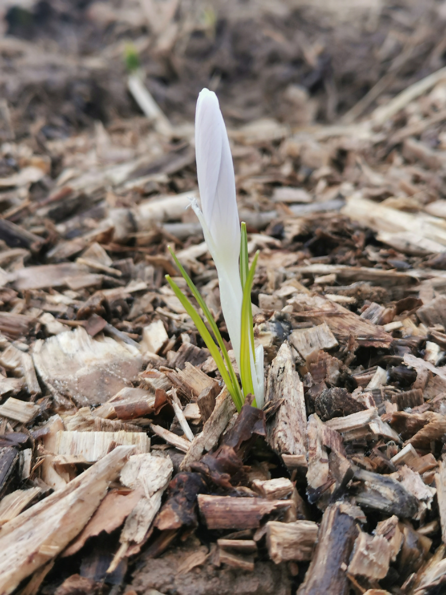 Первый пошел!