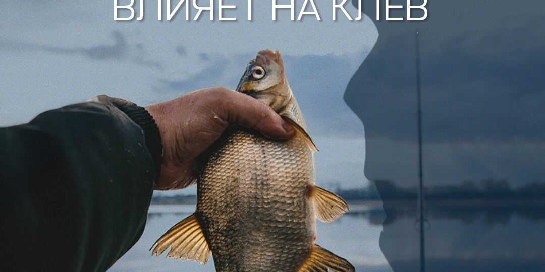 Как весной погода влияет на клев рыбы
