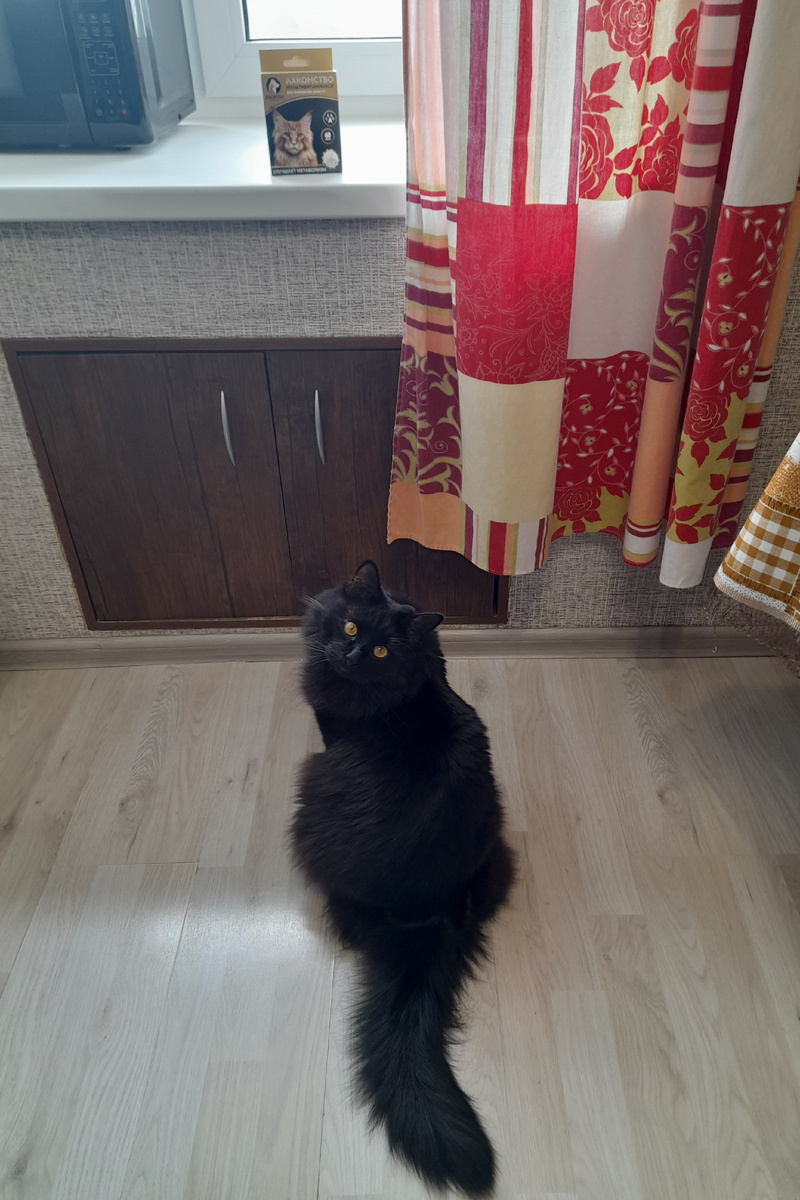 Подать сюда витамины. И побыстрее! 😼