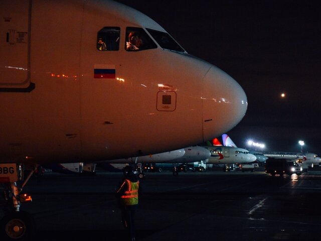    Фото: Москва 24/Никита Симонов
