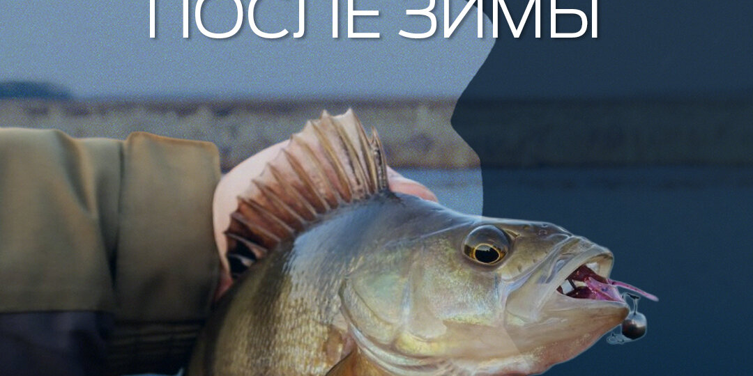Особенности спиннинговой ловли ранней весной