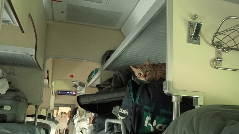    Фото: progorod43.ru