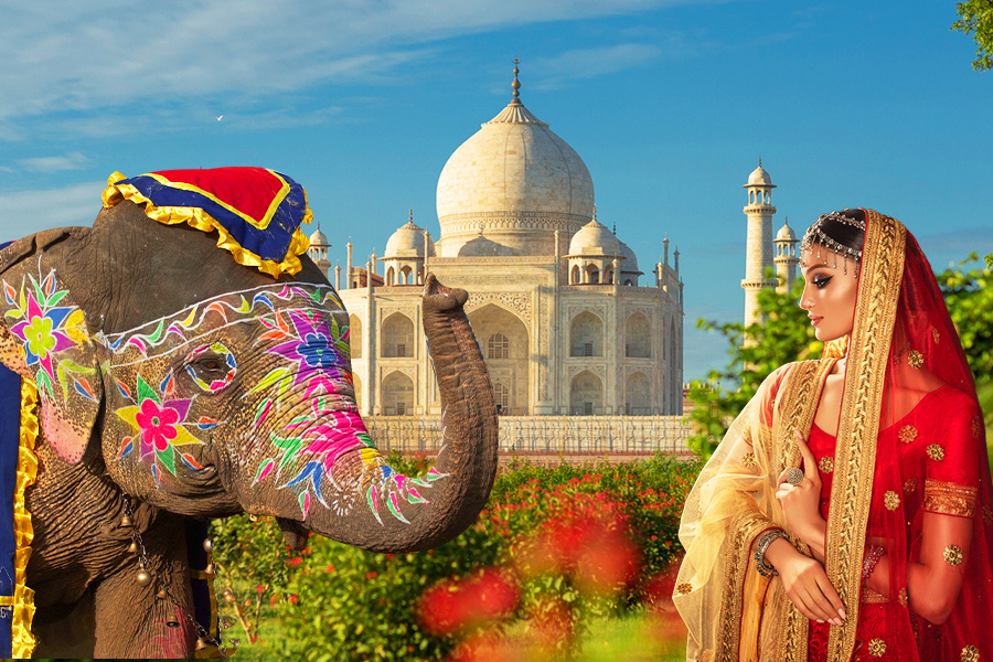 Индия идеальная 