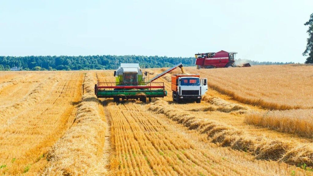 Фото : Forbes (Форбс)