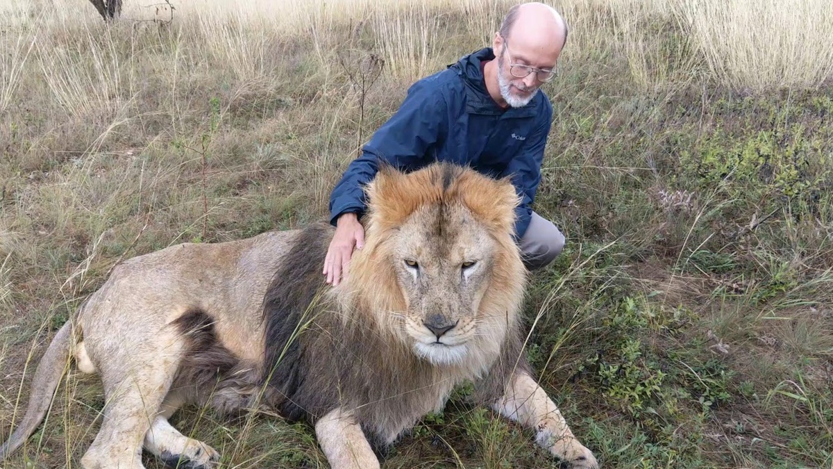 Лев Гек. Погиб в 7 лет