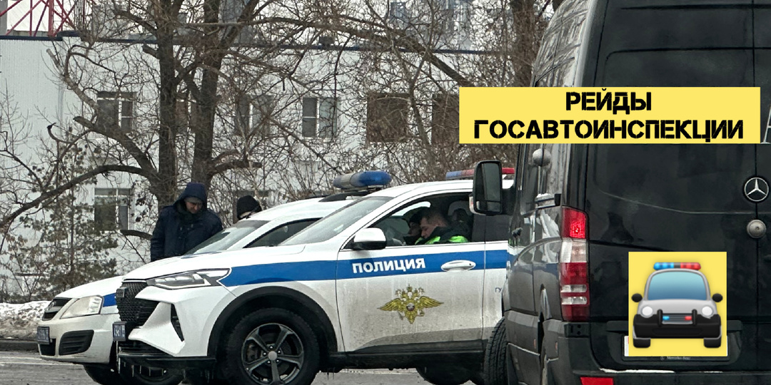 Рейды ГИБДД с 16 по 22 марта: за что ловят и как избежать штрафа