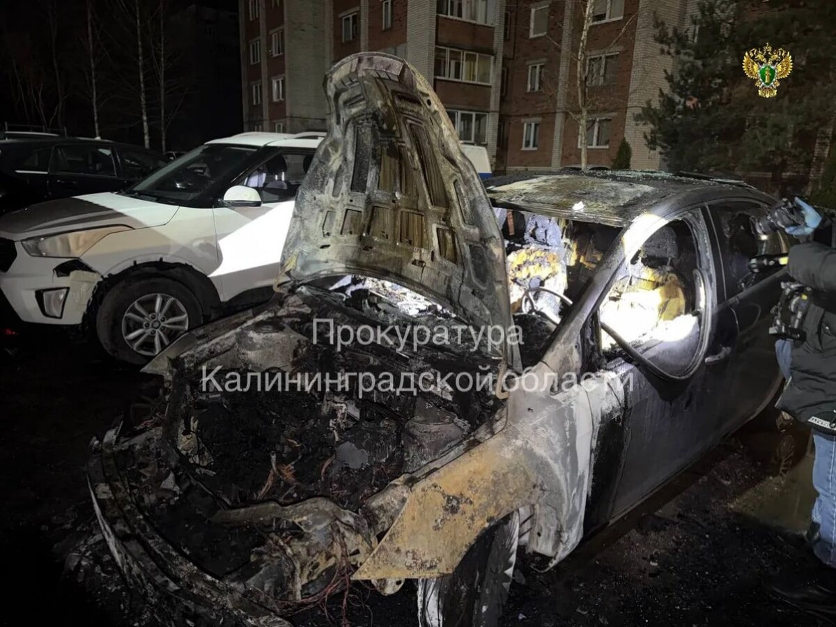     / Источник: Прокуратура Калининградской области