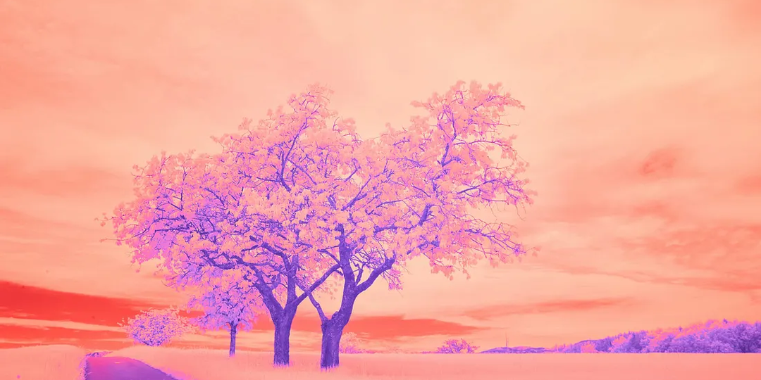 10 цитат, которые вы никогда не забудете