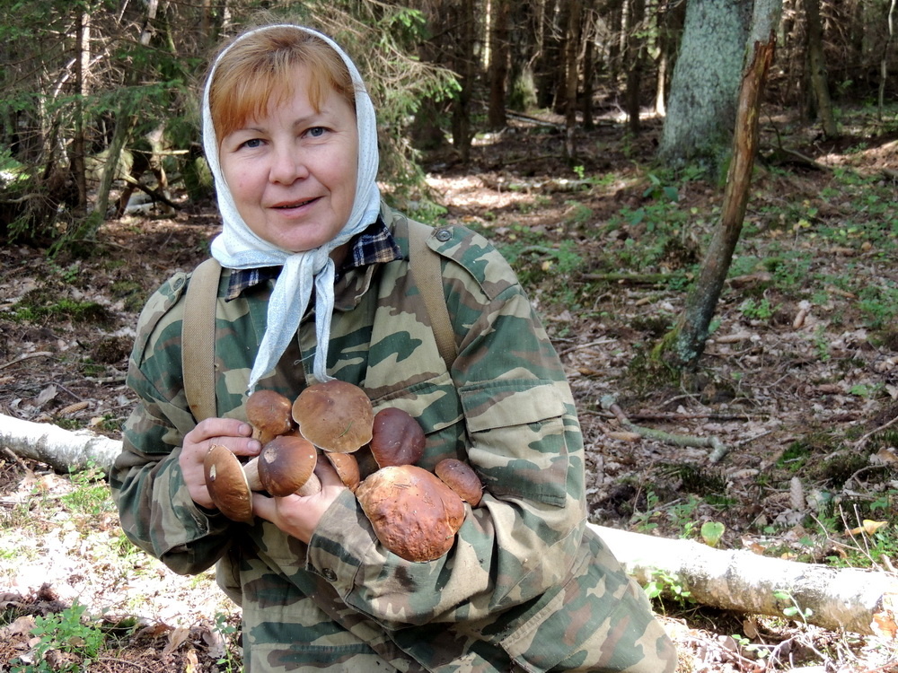 И такое бывает. Белые грибы в корзину уже не помещаются. Но их так много!
