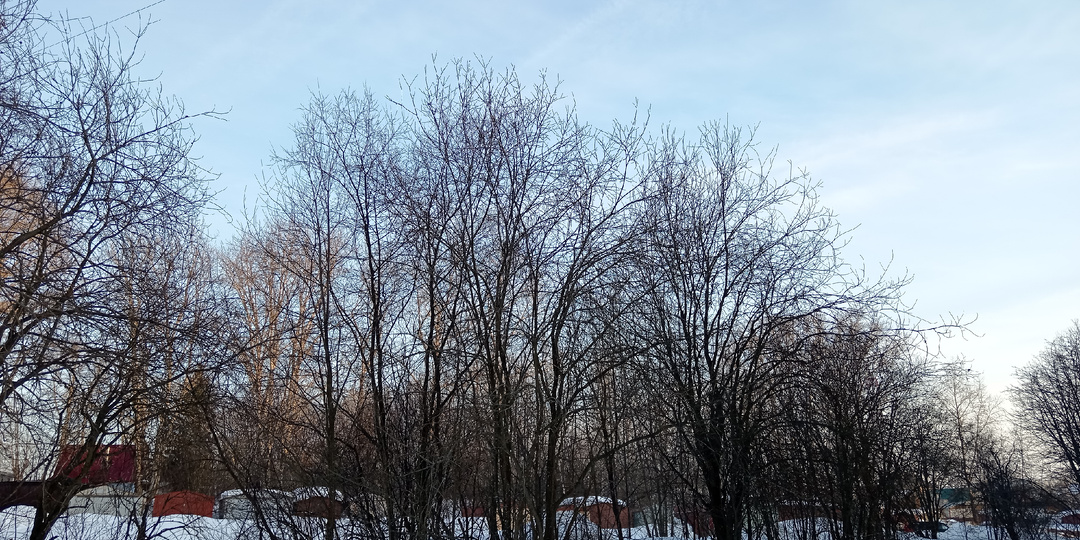 15 марта 2026 года. Воскресенье. Мартовское многоводье, или Затопило