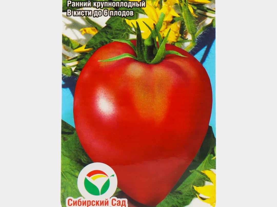 Томат Батяня