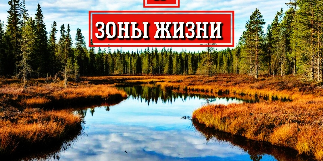 Зоны смерти, зоны жизни: почему на Ведьминой Погибели погиб наш пес и при чем здесь сетка Хартманна