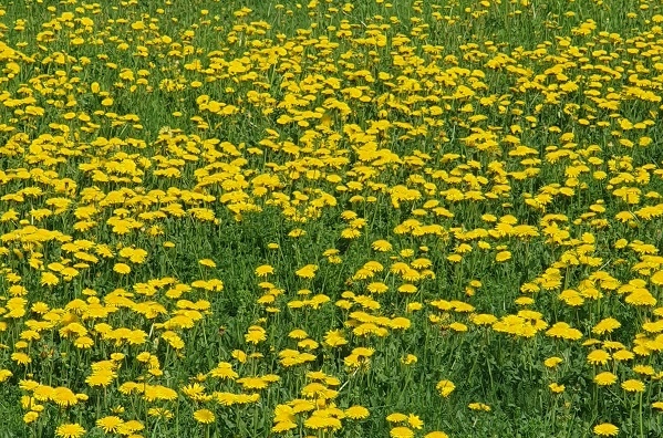 Фото из личного архива автора