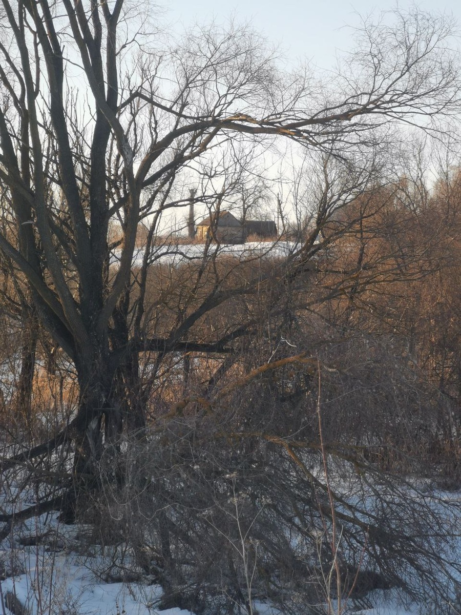 Прогулка по зимнему льду