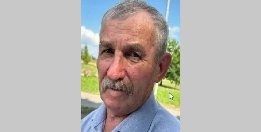    Лиза Алерт.