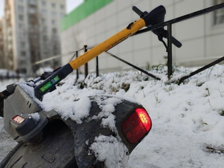     Фото: архив МК в Калининграде.
