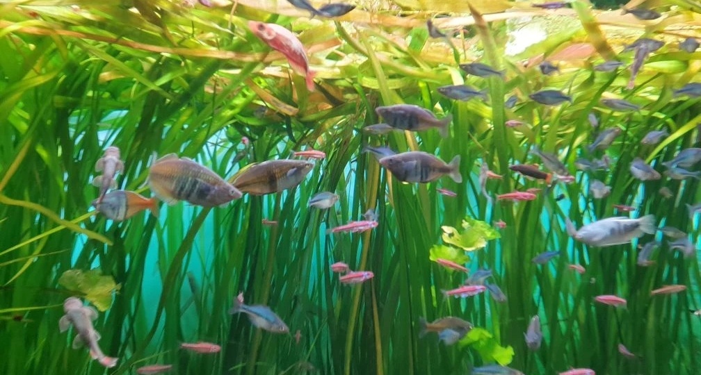 Проснулся, встал, пошел - уже счастье!