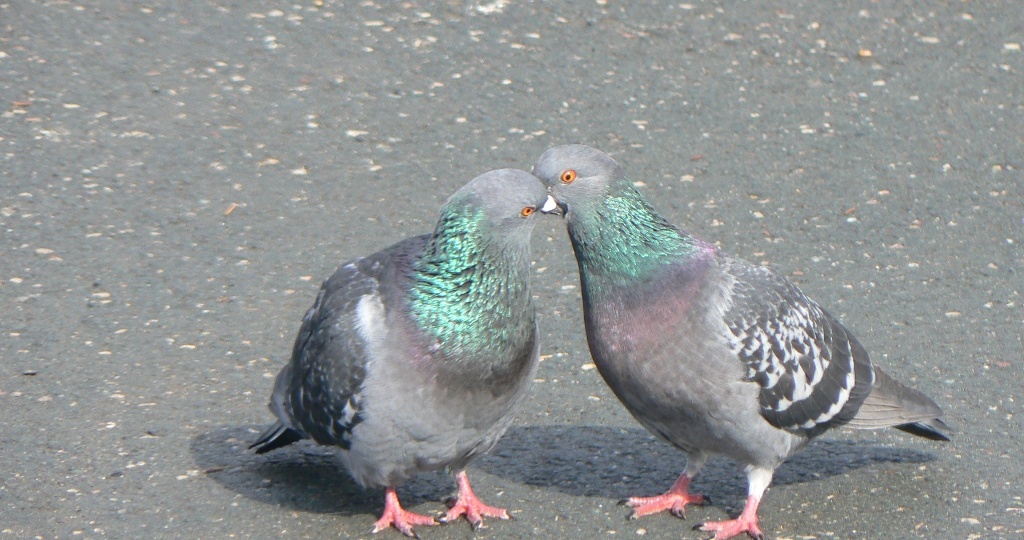 По мартовскому Городскому парку