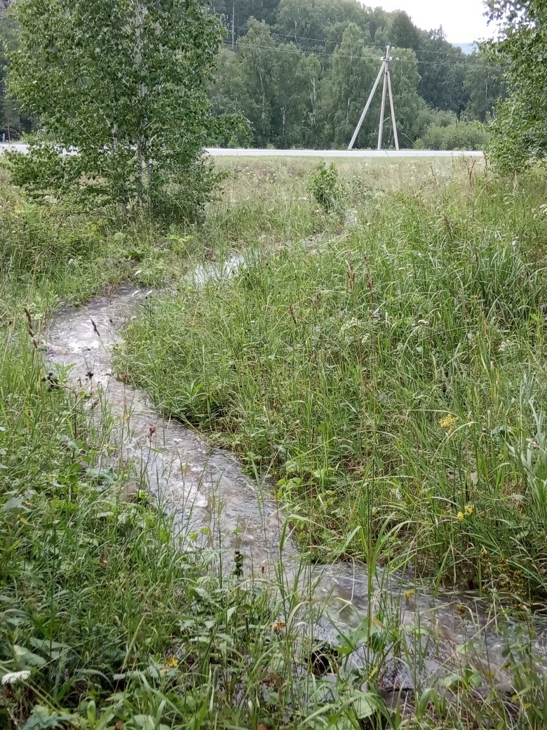     "Туйға... 500 һум аҡса һалдылар!"