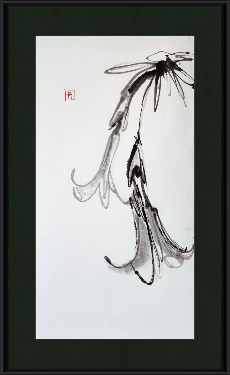 Брумгансия