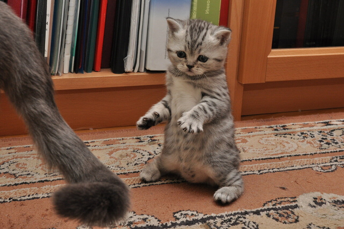 Фото Вадима Мелешко