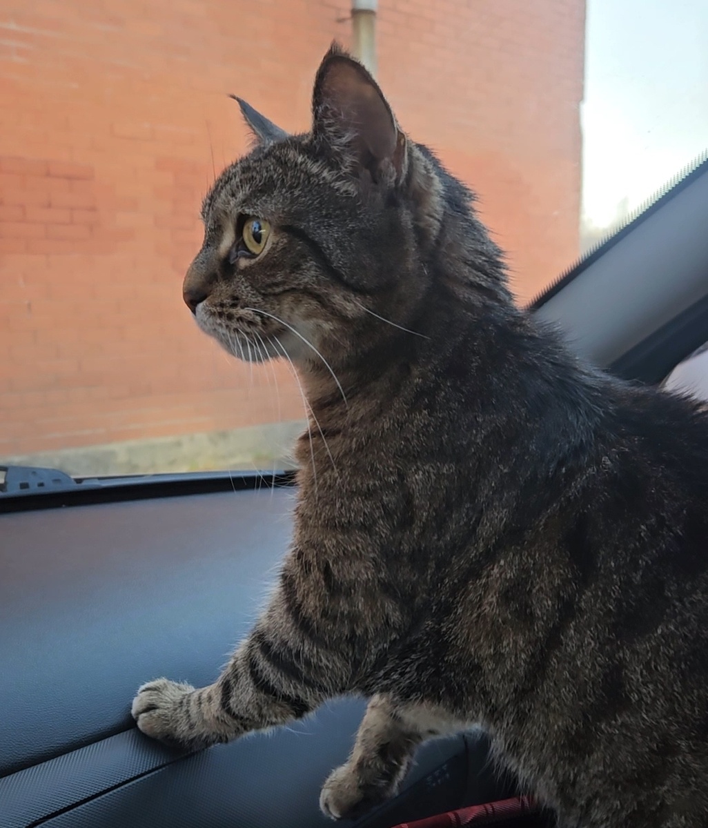 Приехали в клинику.