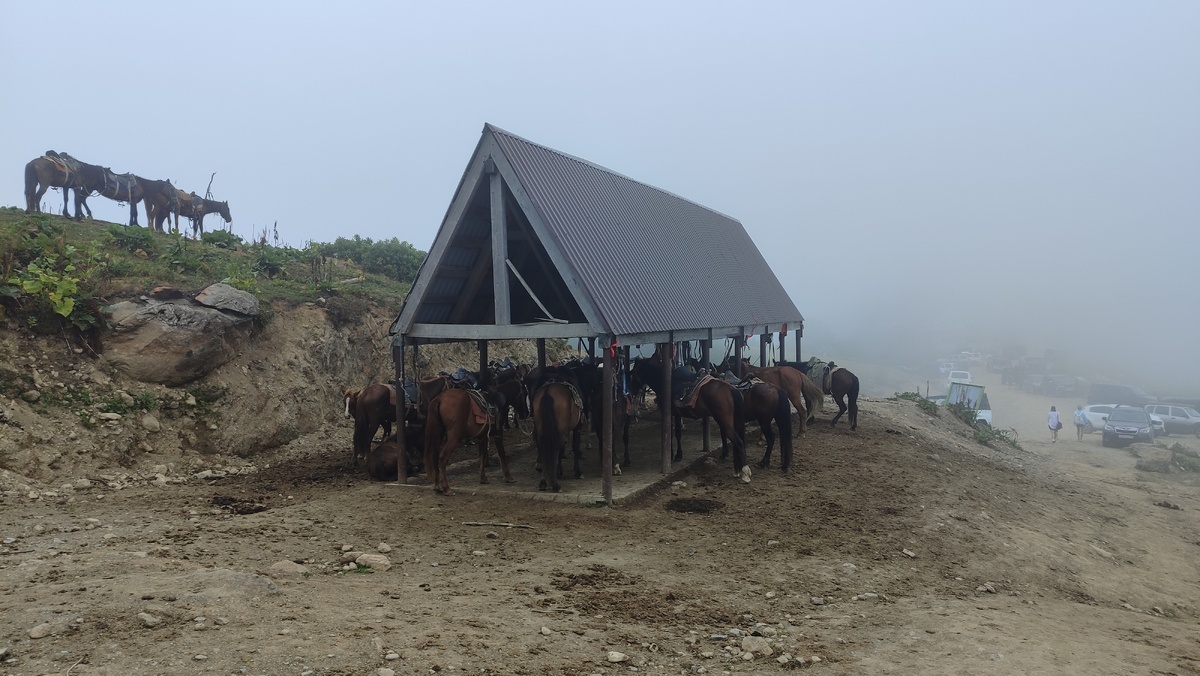 Лошади на перевале Пыв (Анчхо)