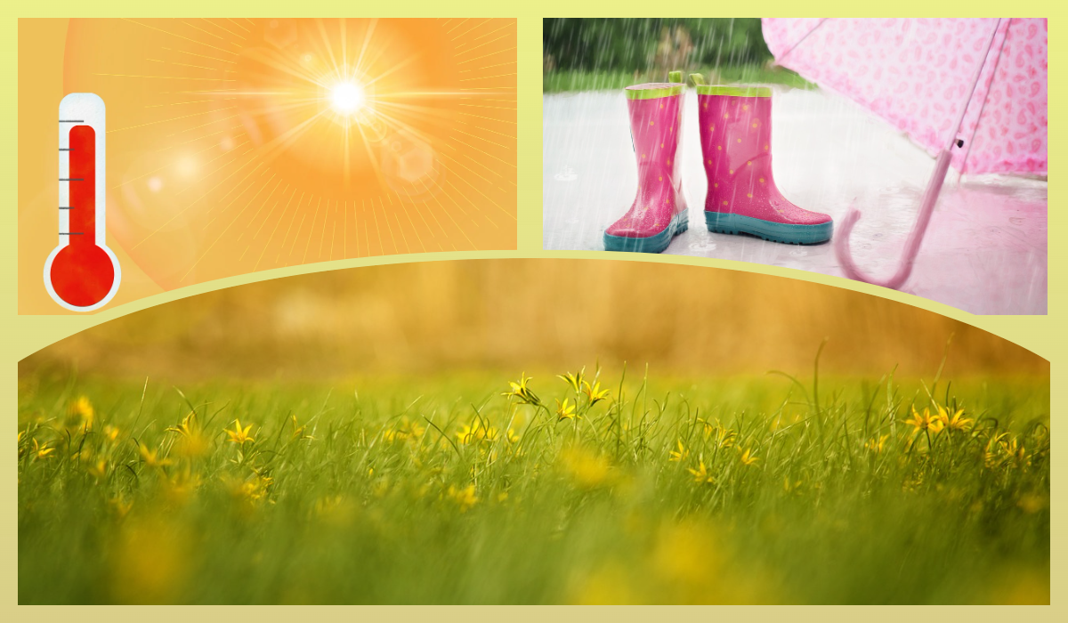Прогноз погоды весна/лето/pixabay.com