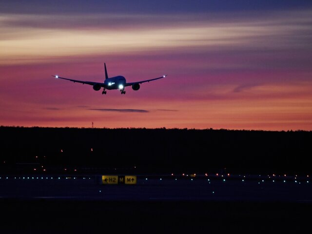    Фото: Москва 24/Никита Симонов