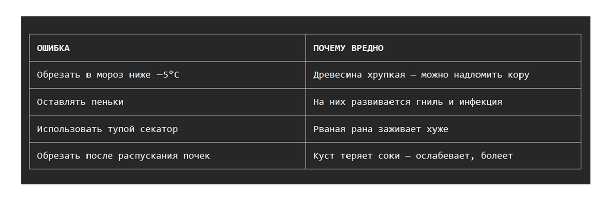 Что НЕЛЬЗЯ делать 