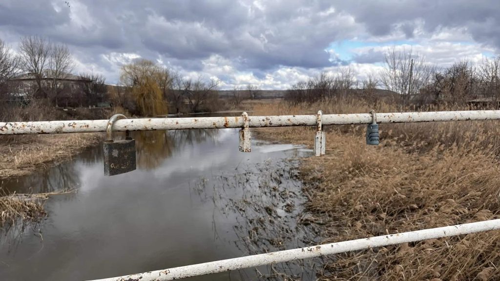    Фото: Г. Ященко. Галина Ященко