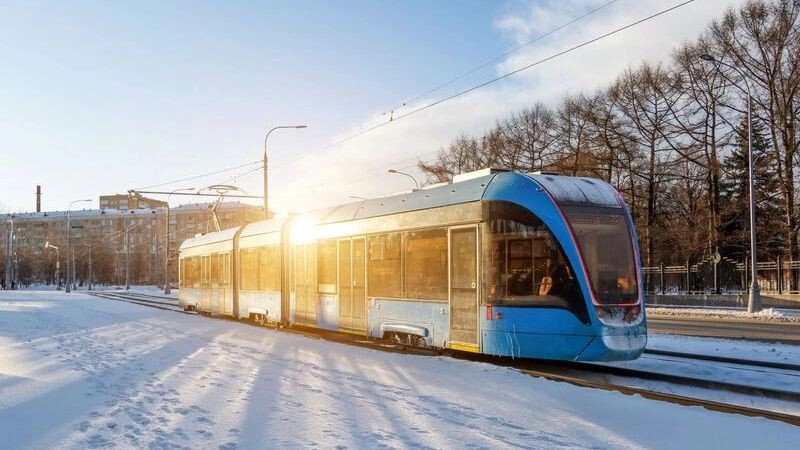    Фото: aapsky/Shutterstock/Fotodom