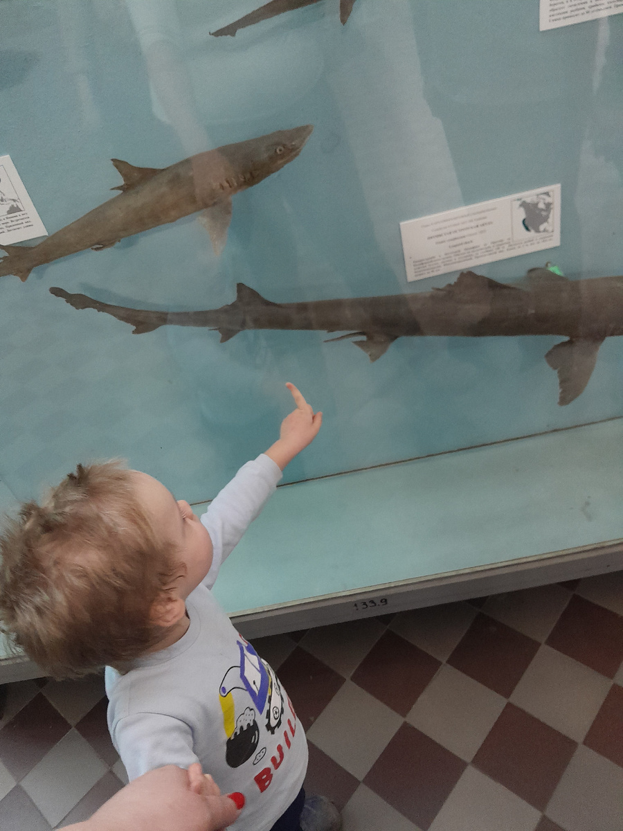 Прошу прощения за "прически", короткие волосы после шапок всегда такие красивые😄