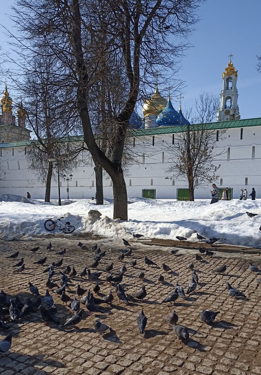 Фото автора