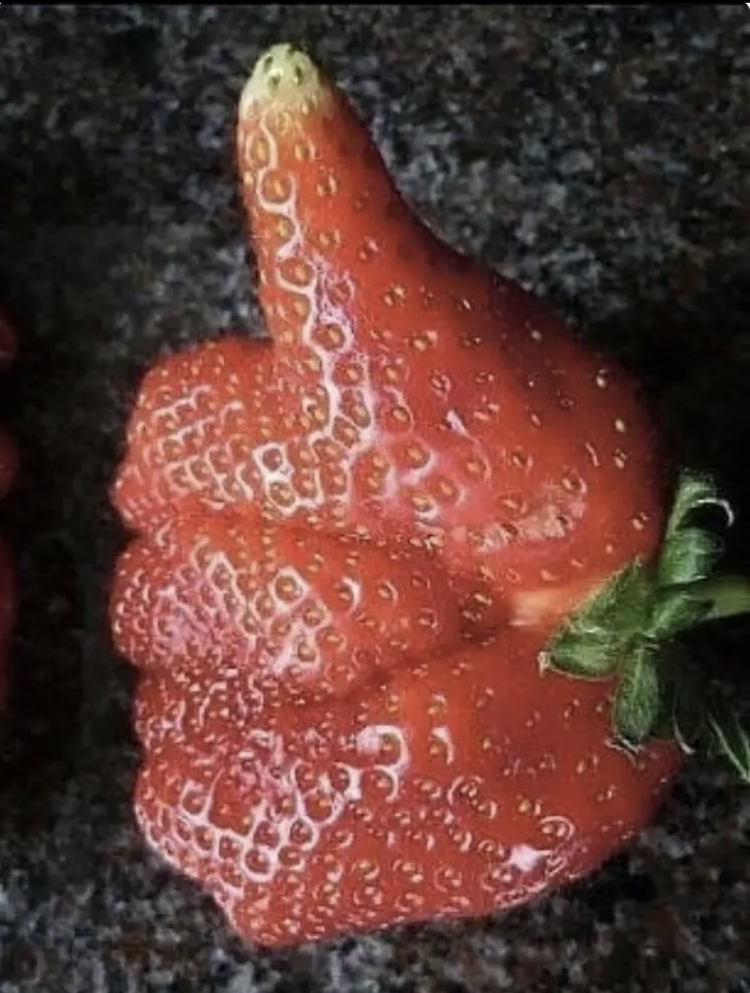 Из открытых источников информации. 