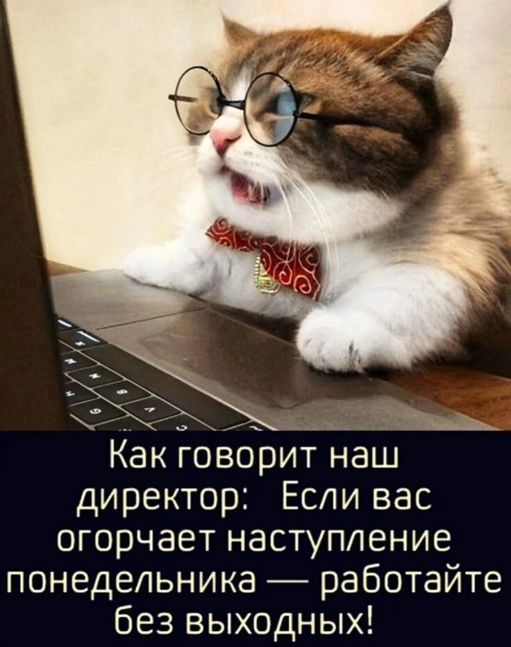 Яндекс картинки 