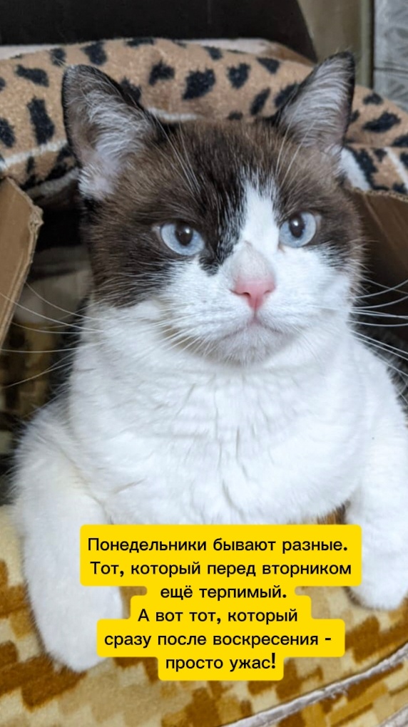 Валеркины картинки 