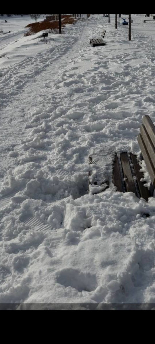 Где-то в Сибири.